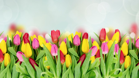 Similar image 22136893