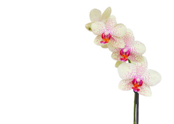 Similar image 22136895