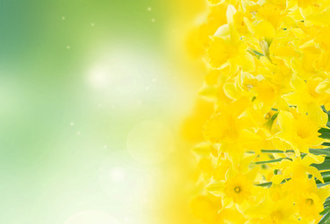 Similar image 22136920