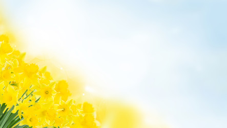 Similar image 22137039