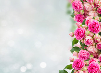 Similar image 22137041