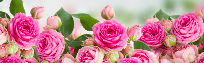 Similar image 22137043