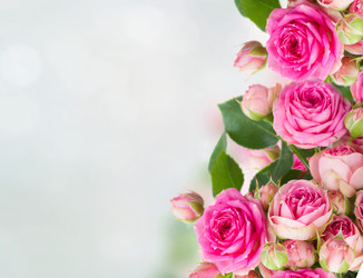 Similar image 22137045