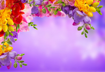 Similar image 22137046