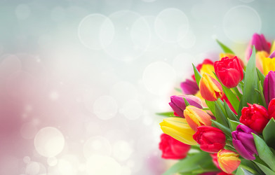 Similar image 22137049