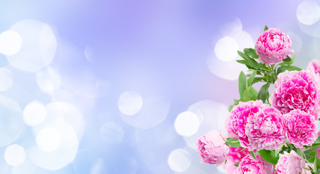 Similar image 22137051