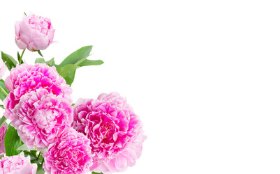 Similar image 22137052