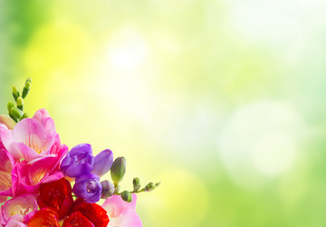 Similar image 22137053