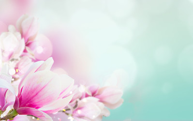 Similar image 22137057