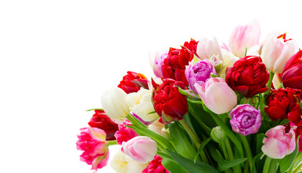 Similar image 22137058