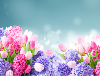 Similar image 22137059