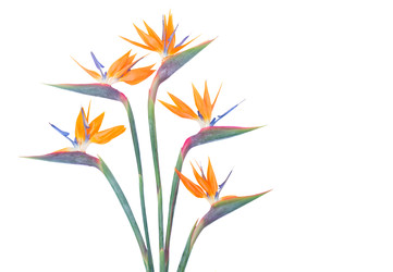 Similar image 22137060