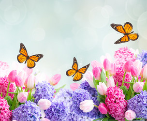 Similar image 22137061