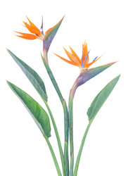 Similar image 22137062