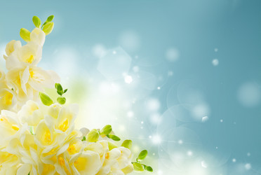 Similar image 22137063