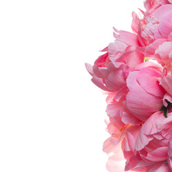 Similar image 22137064