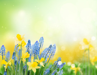 Similar image 22137065