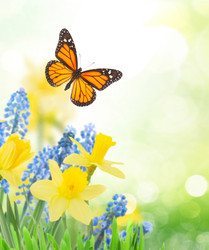 Similar image 22137067