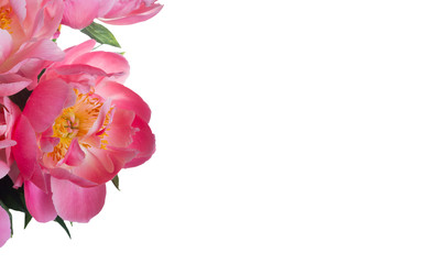 Similar image 22137068