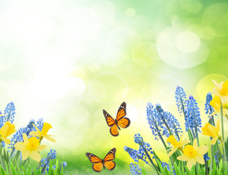 Similar image 22137069