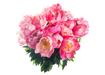 Similar image 22137070