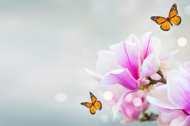 Similar image 22137073