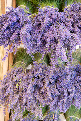 Similar image 22137251