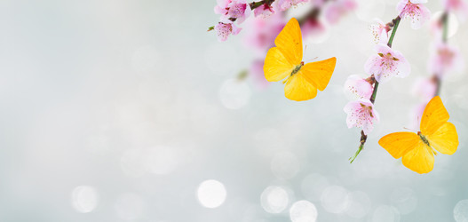 Similar image 22137254