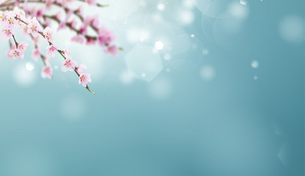 Similar image 22137256