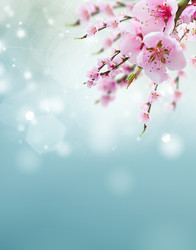 Similar image 22137258