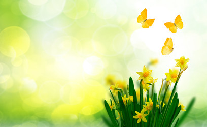 Similar image 22137260