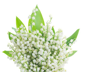 Similar image 22137261