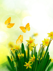 Similar image 22137262