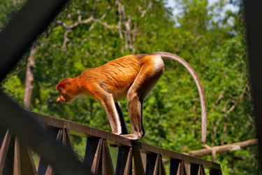 Similar image 22137482