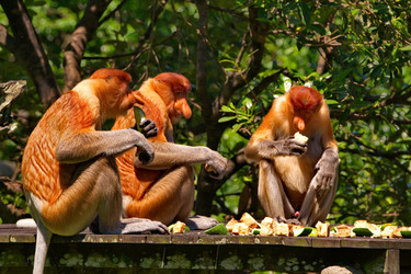 Similar image 22137483