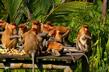 Similar image 22137484