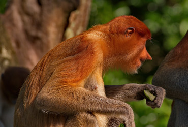 Similar image 22137485