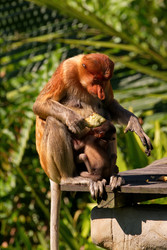 Similar image 22137486