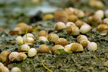 Similar image 22147862