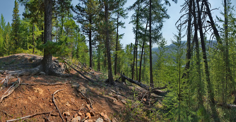 Similar image 22144000