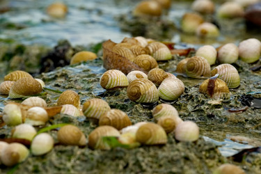 Similar image 22147863