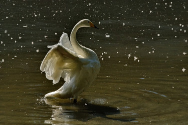 Similar image 22148627