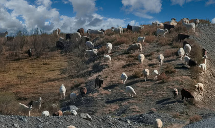 Similar image 22149121