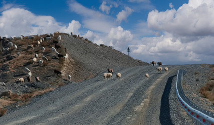 Similar image 22149123