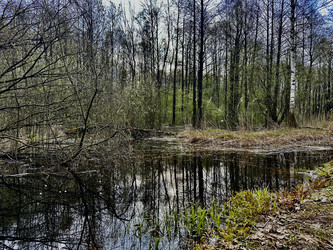 Similar image 22137986