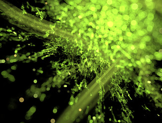 Similar image 22136370