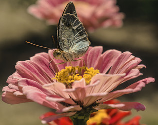 Similar image 22133193