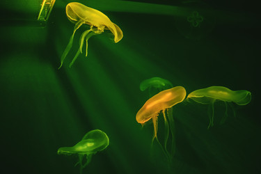 Similar image 22133194