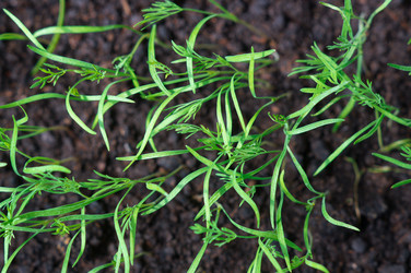 Similar image 22133398