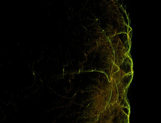 Similar image 22136391